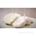 New Crop White Alho Preço em Jin Xiang